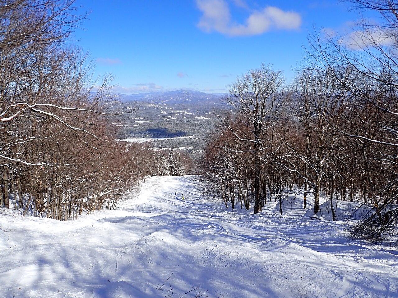 高山滑雪战术解析:节奏与空间如何决定走势